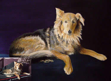 Pet Portrait of Evie from a photograph painted by Julia Underwood
